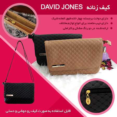 کیف زنانه David Jones