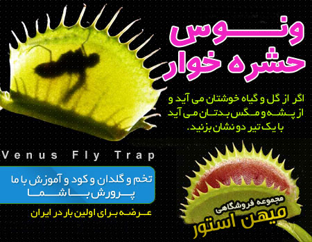 ونوس حشره خوار خريد پستي ونوس حشره خوار